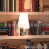 NovelLight™ Bookshelf Lamp 🌟 — Vintage Charm Meets Illumination