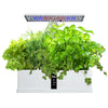 GrowSmart™ Indoor Herb Garden 🌿💡 Fresh Greens, Zero Effort