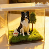 PawEternal™ Holographic Memorial Box 🐾✨ — Keep Their Memory Alive