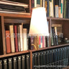 NovelLight™ Bookshelf Lamp 🌟 — Vintage Charm Meets Illumination