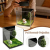 PawEternal™ Holographic Memorial Box 🐾✨ — Keep Their Memory Alive