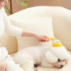 PawSpa™ Bath Brush 🐶🛁 — Massage, Clean & Pamper in One