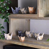 FoldiFun™ 3D Paper Animal Set
